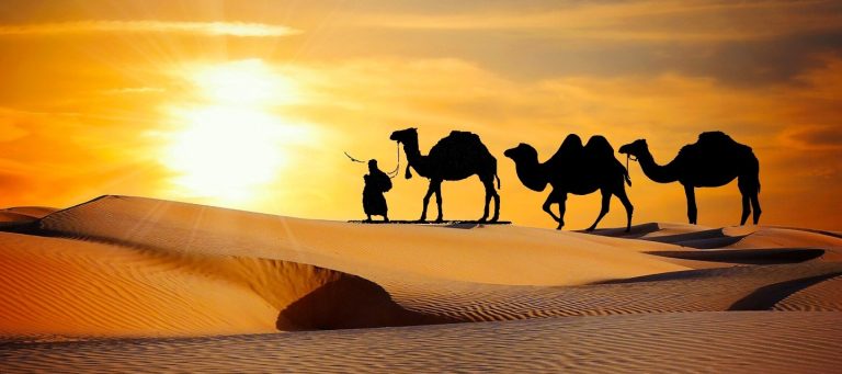 banner-rajasthan